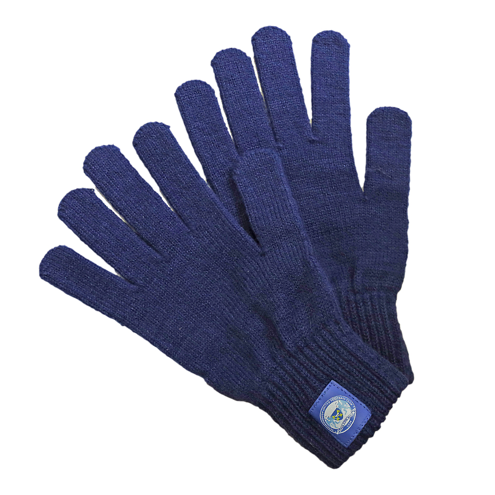 Adult Navy Gloves