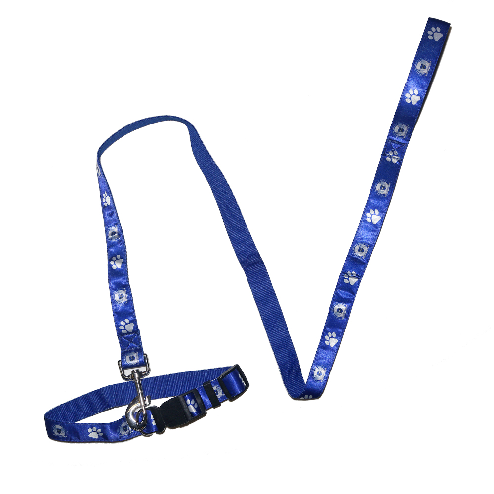 Dog Collar and Lead