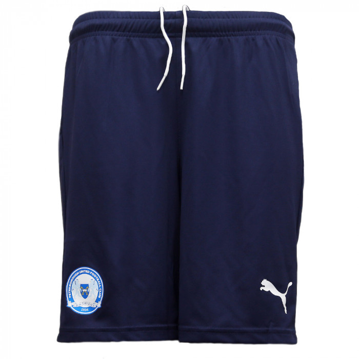 PUMA Adult training Shorts 