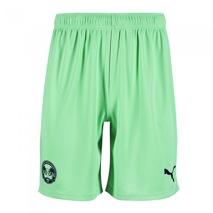 PUMA Adult Away Shorts 22/23