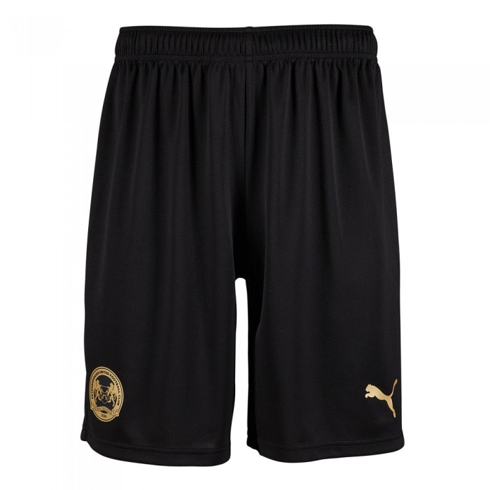 PUMA Adult Third Shorts 22/23