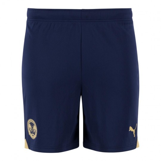 PUMA Adult Third Shorts 23/24