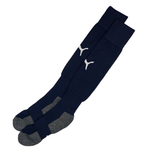 PUMA Academy Socks 23/24