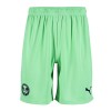 PUMA Adult Away Shorts 22/23