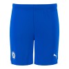 PUMA Adult Home Shorts 23/24