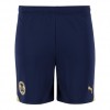 PUMA Adult Third Shorts 23/24