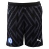 PUMA Adult Away GK Shorts 23/24