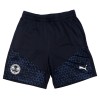 PUMA  Junior training Shorts 23/24