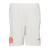 PUMA Junior Third GK Shorts 24/25 - Alpine Snow
