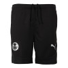 PUMA Adult training Shorts 24/25 - Black
