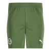PUMA Adult Away Shorts 25/26