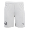 PUMA Adult Third Shorts 25/26 - Cool Light Grey