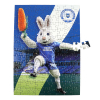 Mascot 125 Piece Jigsaw Puzzle