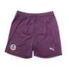 PUMA Adult Away GK Shorts 24/25 - Purple