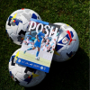 Peterborough United V Lincoln Programme