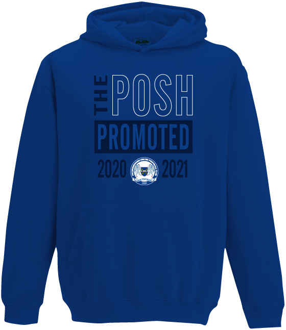 Adult Promotion Hoodie