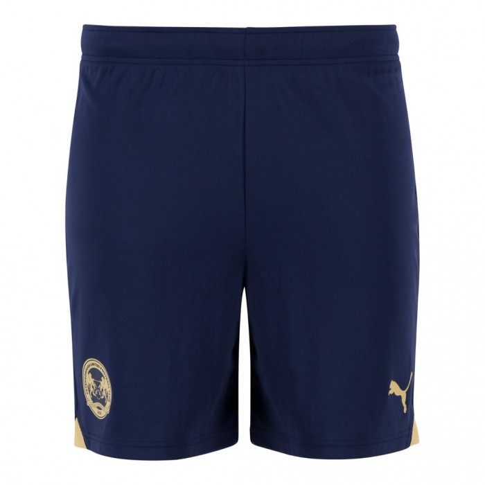 PUMA Adult Third Shorts 23/24