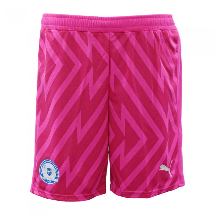PUMA Adult Home GK Shorts 23/24