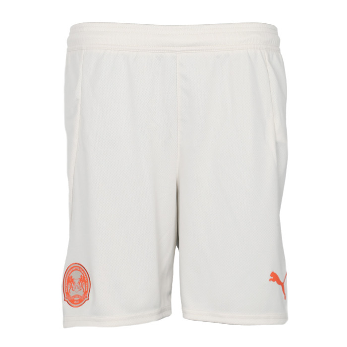 PUMA Junior Third GK Shorts 24/25 - Alpine Snow