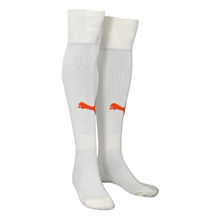 PUMA Adult Third GK Socks 24/25 - Alpine Snow