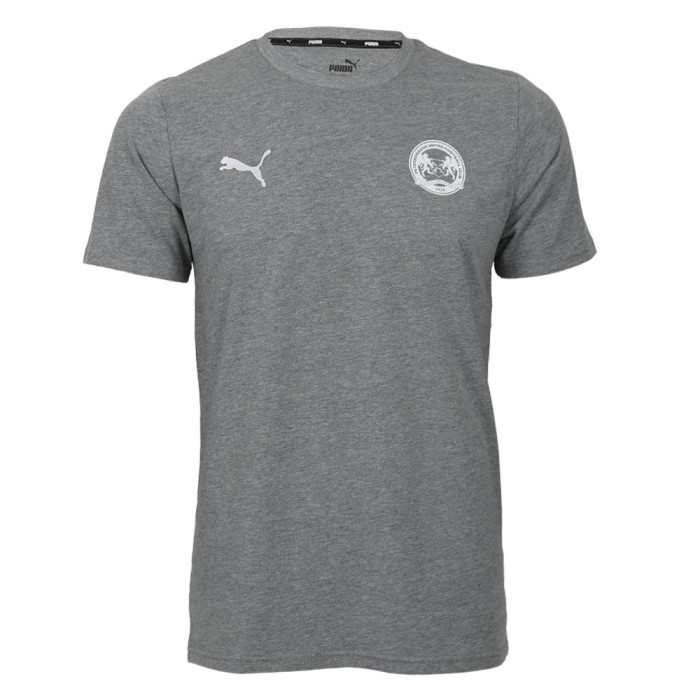 PUMA Junior Travel Tee 24-25 - Grey