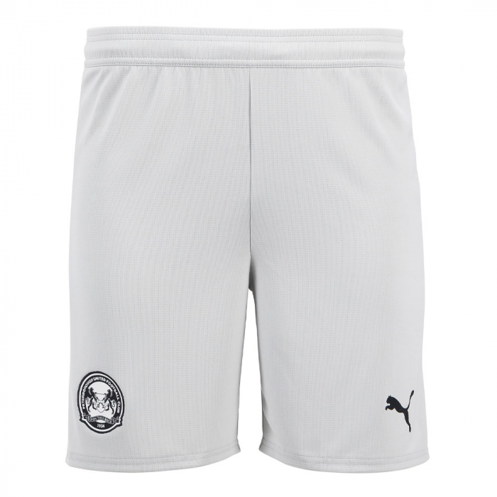 PUMA Adult Third Shorts 25/26 - Cool Light Grey