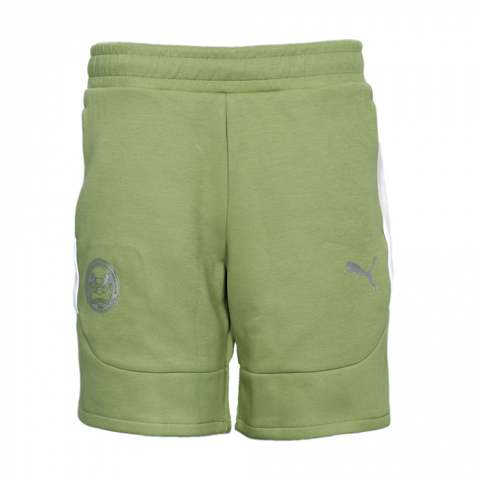 Puma Adult Casual Short 25/26