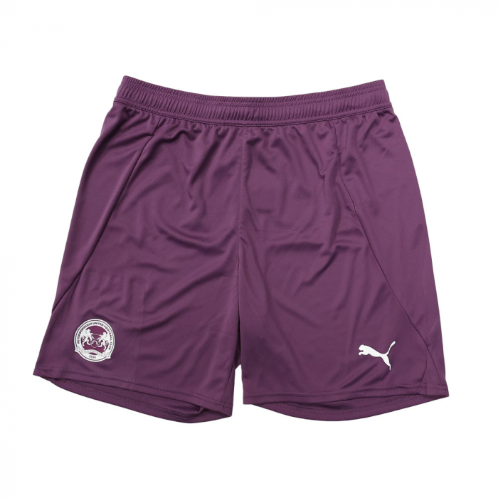 PUMA Adult Away GK Shorts 24/25 - Purple